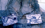 Foto-Installation, Die Hallen, Rottenburg